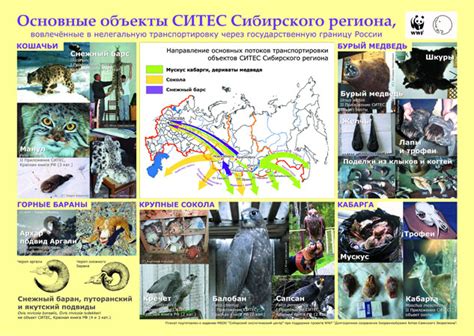 Ограничение незаконного оборота редких видов