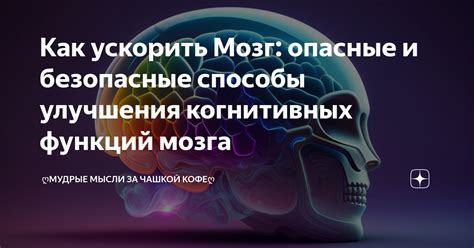 Ограничение стресса как фактор улучшения когнитивных функций