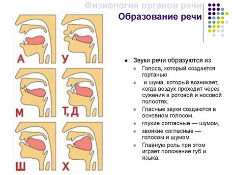 Ограничения в образовании звуков