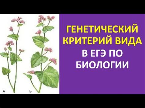 Ограничения генетического критерия