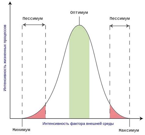 Ограничения и ограничивающие факторы