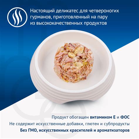 Ограничения и противопоказания питания кошек кукурузой