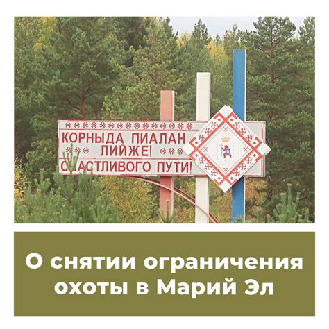 Ограничения и разрешения для охоты в городе