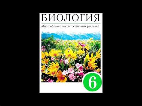 Ограничения по поставке воды и питательных веществ