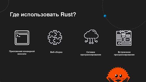 Ограничения создания программы на RUST