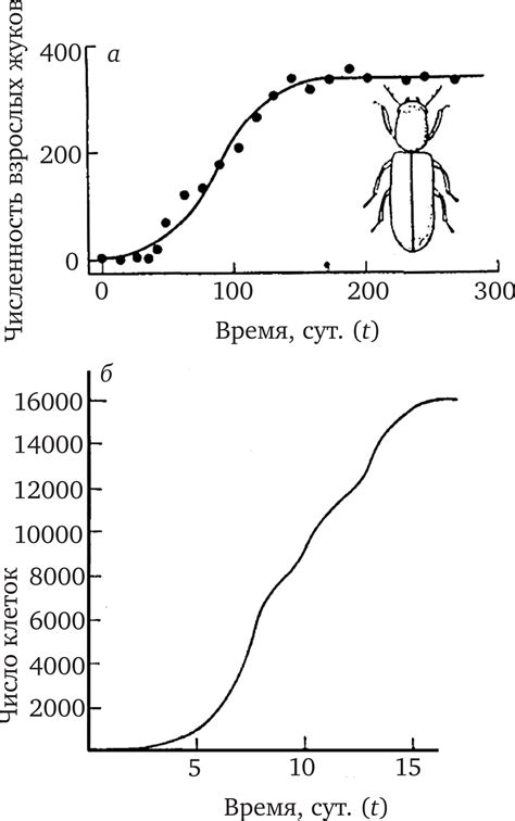 Ограниченный рост