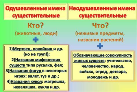 Одушевленные и неодушевленные существительные в контексте глагола