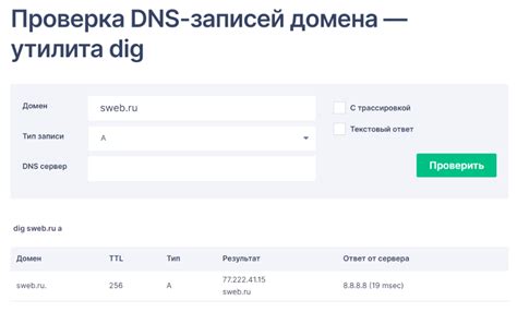 Ожидание пропагации DNS-записей