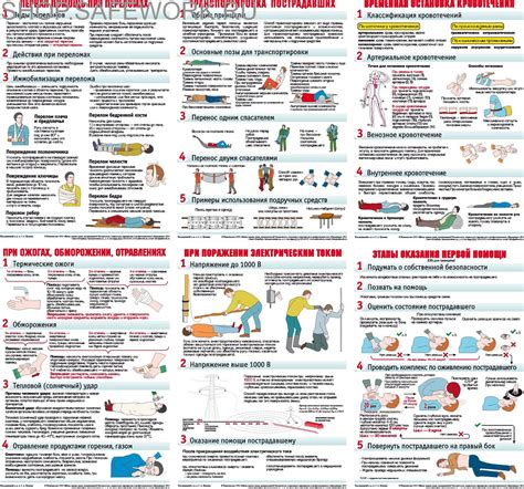 Оказание помощи при ожогах и отравлениях