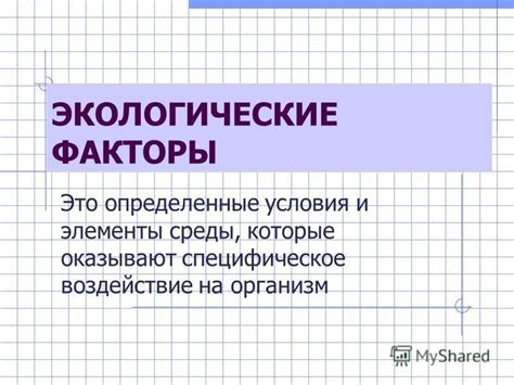 Оказывают защитное воздействие на организм