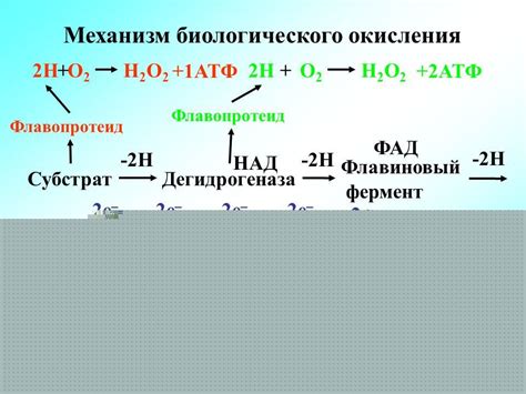 Окисление веществ