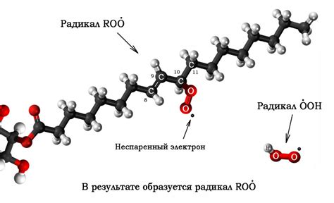 Окисление масел и жиров