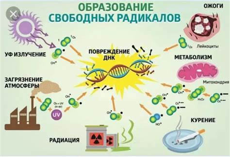 Окислительный стресс и свободные радикалы