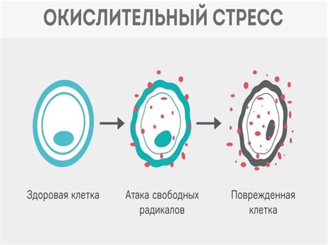 Окислительный стресс - главная причина страданий