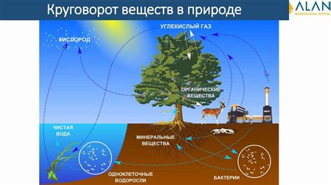 Окружающая среда и тепловые процессы