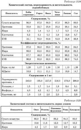 Омлет: полезность и питательность