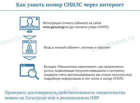 Онлайн поиск по номеру СНИЛС