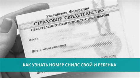 Онлайн-сервисы для поиска СНИЛС по фамилии