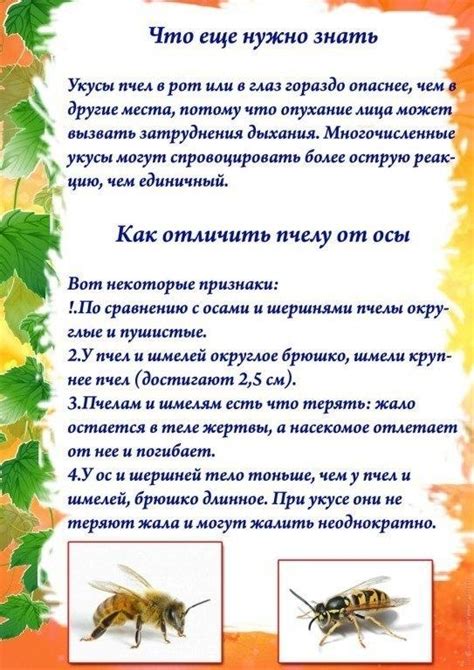 Опасности использования отравы для шмелей