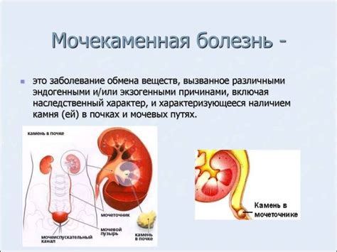 Опасность грибов при наличии мочекаменной болезни