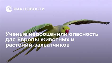 Опасность для животных и растений