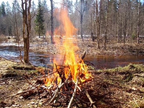 Опасность разводить костер в лесу