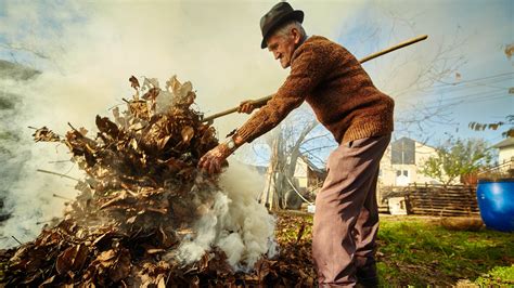 Опасность сжигания опавших листьев