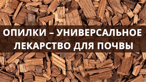 Опилки для увлажнения почвы