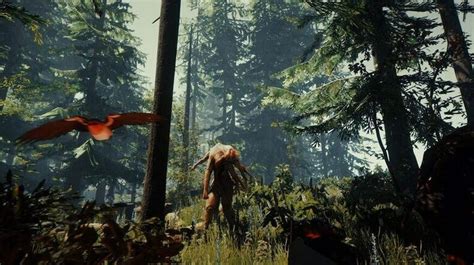 Описание игры The Forest 2