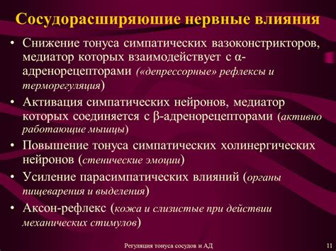 Описание методов проверки нарушения тонуса сосудов