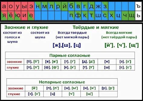 Описание мягких гласных звуков