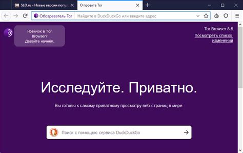 Описание преимуществ и особенностей использования Тор-браузера