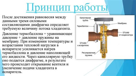 Описание устройства и принципа работы