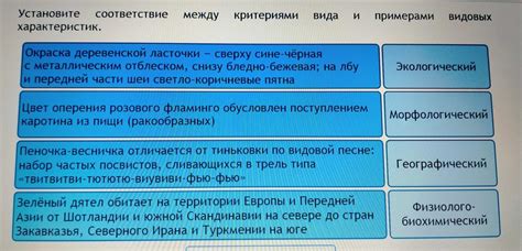 Описание характеристик вида и видовых отличий