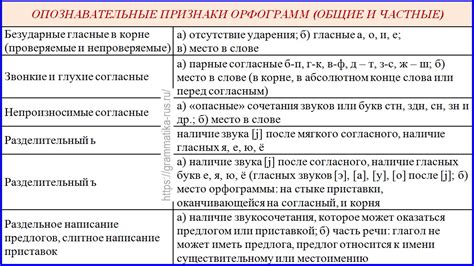 Опознавательные признаки на подлинном шампуне