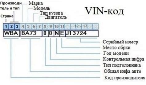 Определение ВИН кода и его особенности