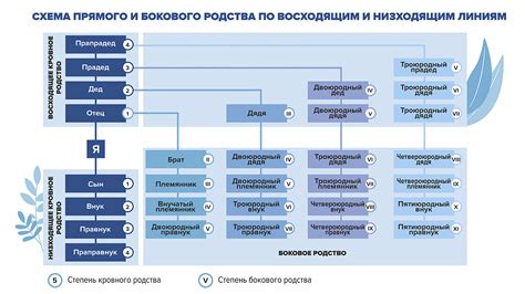 Определение аффилированности на основе родственных связей