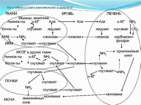 Определение глутамата натрия