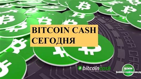 Определение и основные характеристики Bitcoin Cash