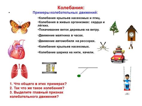 Определение и принципы колебаний