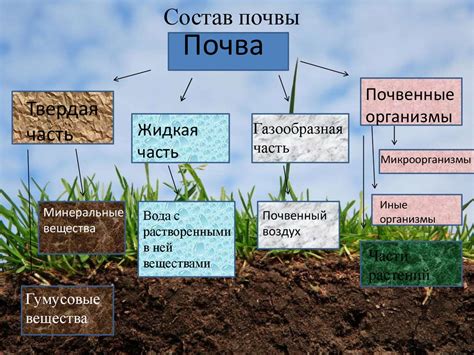 Определение и состав