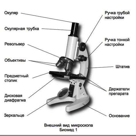 Определение и структура микроскопа