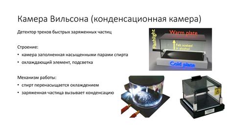 Определение камеры Вильсона