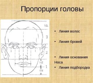 Определение композиции и пропорций портрета