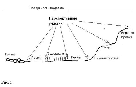 Определение места ловли: