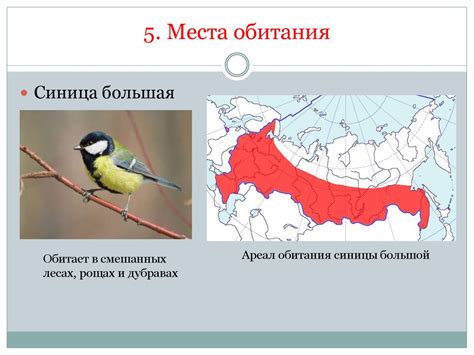 Определение места обитания осин