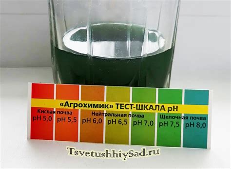 Определение необходимой кислотности почвы