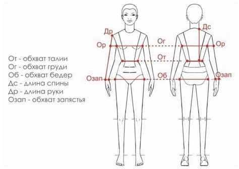 Определение обхвата бедер