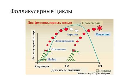 Определение оптимального времени: ключевые факторы