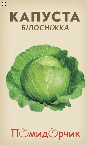 Определение оптимального времени для обрезки листьев капусты